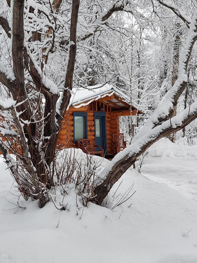 Hatcher Pass Cabins Palmer Exteriér fotografie